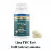 ENJOY HEMP GUMMIES